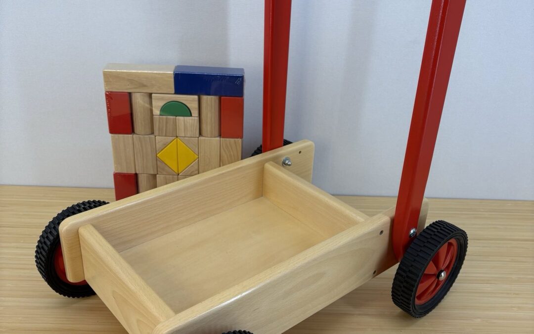 Duwkarren (eigen ontwerp)